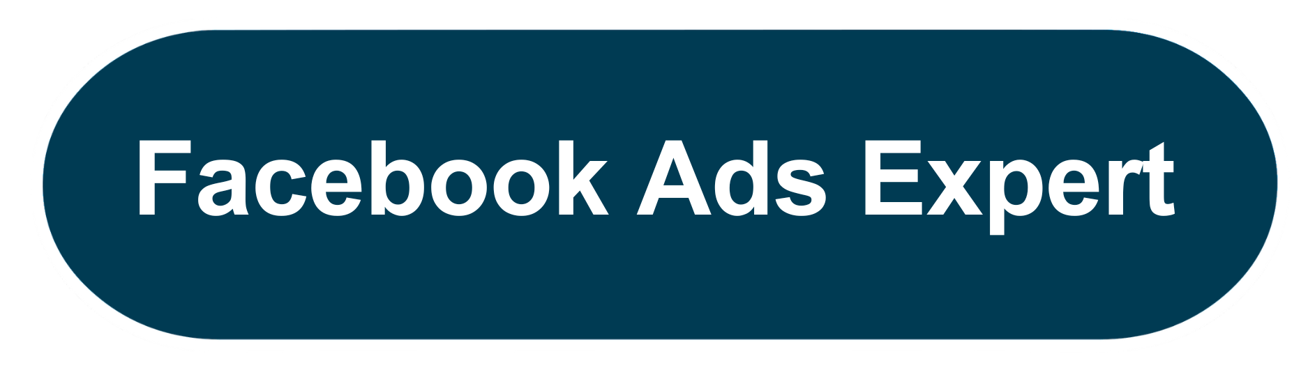 Fcebook ads expert